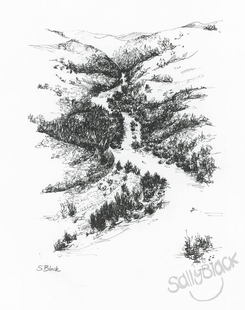 Murrumbidgee River drawing
